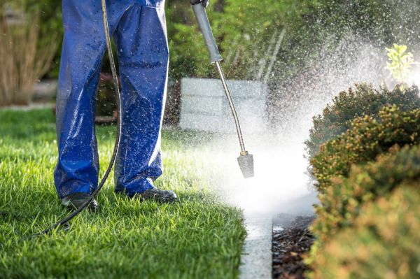 Curb Cleaning in Saratoga Springs