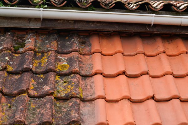 Industrial Roof Cleaning in Saratoga Springs